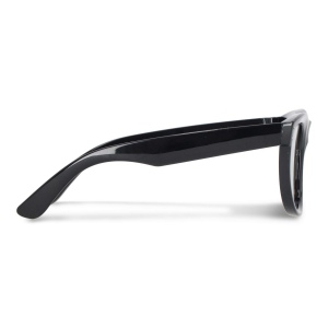 Lunettes de soleil Dion R-PC UV400 4