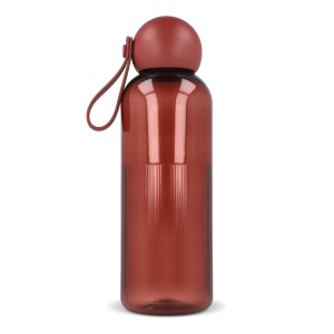 Bouteille d'eau Sagaform Ture 600 ml 29