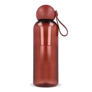 Bouteille d'eau Sagaform Ture 600 ml 32