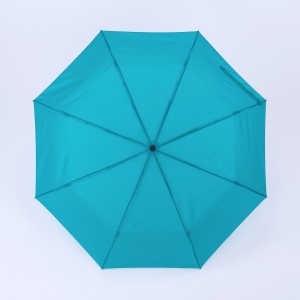 Primo Everyday Set : bouteille d’eau 550 ml et parapluie entièrement automatique Harvard 35