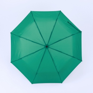 Primo Everyday Set : bouteille d’eau 550 ml et parapluie entièrement automatique Harvard 36
