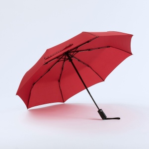 Primo Everyday Set : bouteille d’eau 550 ml et parapluie entièrement automatique Harvard 21