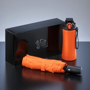 Primo Everyday Set : bouteille d’eau 550 ml et parapluie entièrement automatique Harvard 3