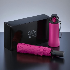 Primo Everyday Set : bouteille d’eau 550 ml et parapluie entièrement automatique Harvard 5