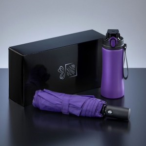 Primo Everyday Set : bouteille d’eau 550 ml et parapluie entièrement automatique Harvard 6