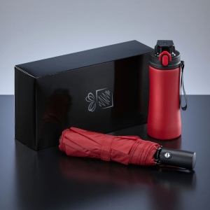 Primo Everyday Set : bouteille d’eau 550 ml et parapluie entièrement automatique Harvard 4