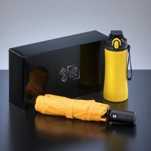 Primo Everyday Set : bouteille d’eau 550 ml et parapluie entièrement automatique Harvard 2