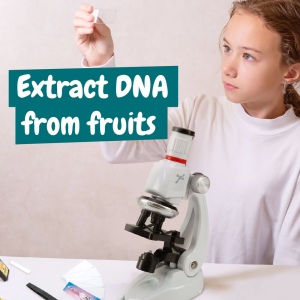 MICROSCOPE. Jeu éducatif pour les enfants 6