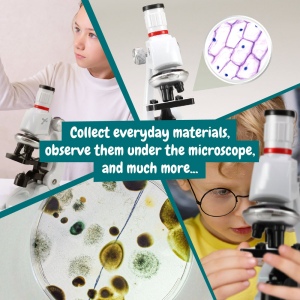 MICROSCOPE. Jeu éducatif pour les enfants 7