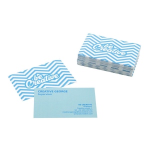 Visicard Safe Cartes de visite indéchirables personnalisées 2