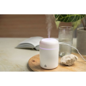 Rapor Humidificateur RABS 3