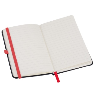 Carnet de 160 pages lignées ALEX 14