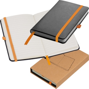 Carnet de 160 pages lignées ALEX 5