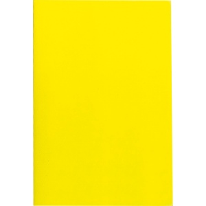 Carnet de notes avec feuilles quadrillées SILAS 11