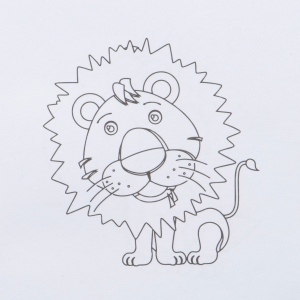 Cahier de coloriage avec 12 crayons de couleur RUFUS 18