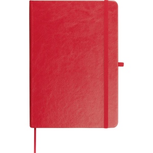Carnet en RPU CLEO 16