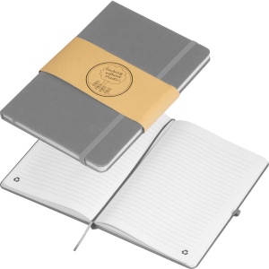 Carnet en RPU CLEO 5