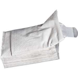 Set de mouchoirs 10 Pcs pliés en 3 ROSALIA 4