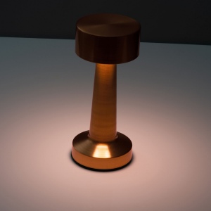 Lampe de table en acier inoxydable ILSE 4