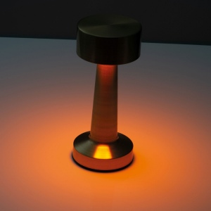 Lampe de table en acier inoxydable ILSE 11
