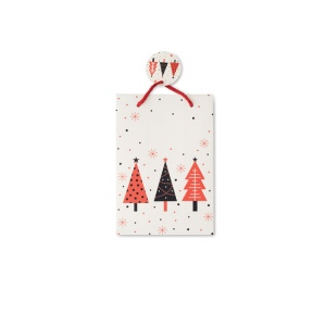 Sac cadeau petit format - BOSSA SMALL 4