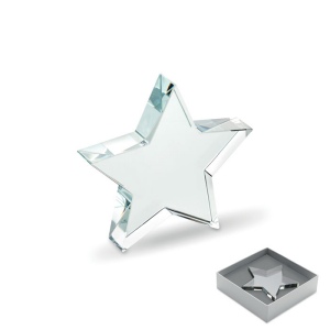 Trophée en verre Etoile - STARWARD 2