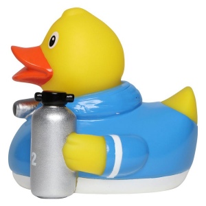 Canard métier divers MBW 3
