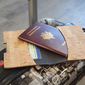 PORTE-PASSEPORT / CARTE GRISE / ASSURANCE LIEGE 3