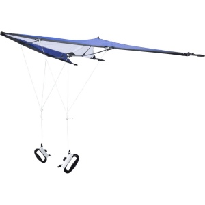 Cerf-volant delta en polyester ripstop 210T Lirien 11