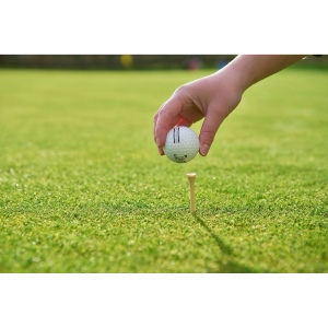 Ensemble de tees de golf en bois Nyssa 3