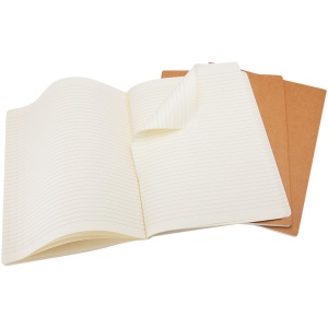 Journal Cahier L - ligné 13