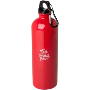 Bouteille d'eau Oregon de 750 ml simple paroi en acier recyclé certifié RCS avec mousqueton 33