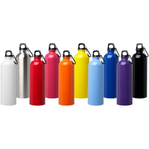 Bouteille d'eau Oregon de 750 ml simple paroi en acier recyclé certifié RCS avec mousqueton 51