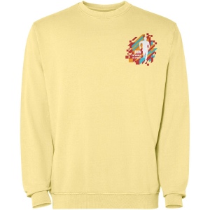 Pull ras du cou Jaya unisexe 13