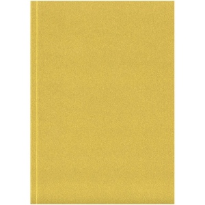 Cahier A5 Novella Austen à couverture souple métallisée de 100 feuilles 4
