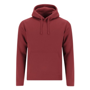 Sweat-Shirt Adulte - Draco 7