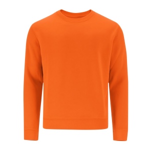 Sweat-Shirt Adulte - Cosmos 11