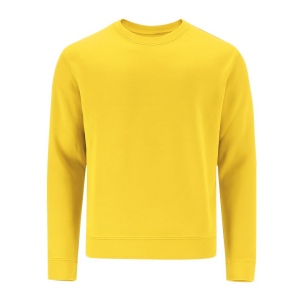 Sweat-Shirt Adulte - Cosmos 2