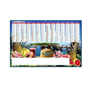 PARADISIAQUE 2026 - MAXI 650 x 405 mm - CC REMBORDE - DOS ECOGESTES - SANS MARQUAGE - 2 OEILLETS CORDON