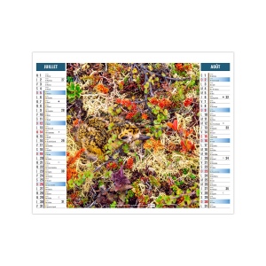 2EN1 - MIMETISME 2026 - SMALL 330 x 470 mm - MARQUAGE 1 COULEUR 5