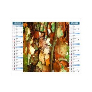 2EN1 - MIMETISME 2026 - XXL 474 x 700 mm - MARQUAGE 1 COULEUR 7