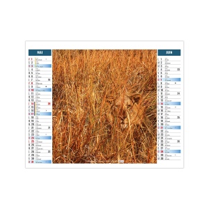 2EN1 - MIMETISME 2026 - XXL 474 x 700 mm - MARQUAGE QUADRI 4