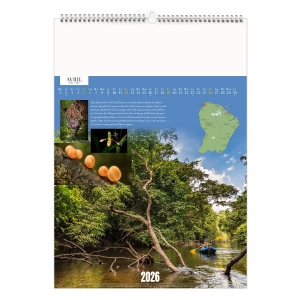 GUYANE 2026 - MARQUAGE QUADRI 6