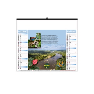 ILLUSTRE ECO - AMAZONE 2026 - SMALL 480 x 330 mm 13