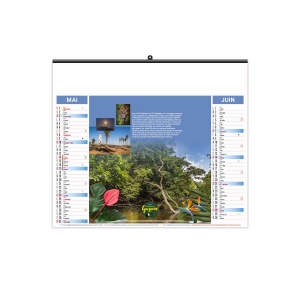 ILLUSTRE ECO - AMAZONE 2026 - SMALL 480 x 330 mm 10