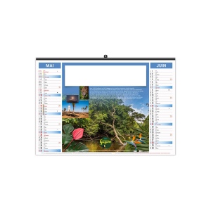 ILLUSTRE ECO - AMAZONE 2026 - XXL 480 x 420 mm 4