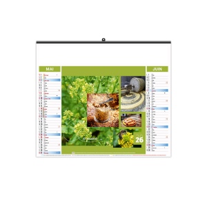 ILLUSTRE ECO - HERBES 2026 - SMALL 480 x 330 mm 10