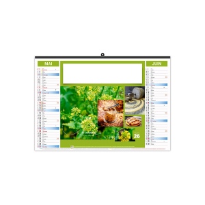 ILLUSTRE ECO - HERBES 2026 - XXL 480 x 420 mm 4