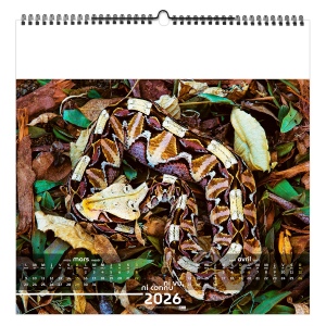 NI VU, NI CONNU 2026 - SMALL 330 x 330 mm - MARQUAGE 1 COULEUR - PAGE DE GARDE REPIQUÉE - RELIURE BAGUETTE 6