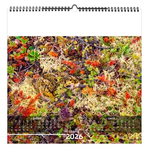 NI VU, NI CONNU 2026 - SMALL 330 x 330 mm - MARQUAGE 1 COULEUR - PAGE DE GARDE REPIQUÉE - RELIURE BAGUETTE 8